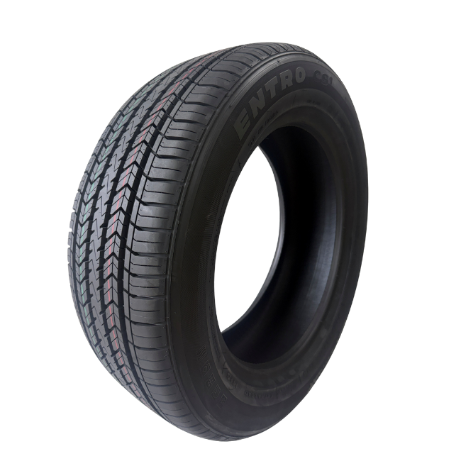 195/55R15 GEPORMAX ENTRO CS1 85V